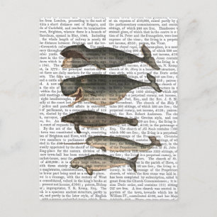 Postal Cinco ballenas de época