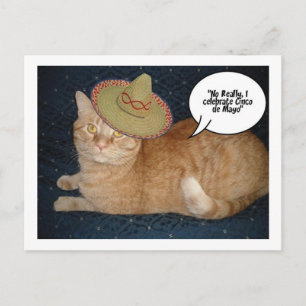 Postal Cinco de Mayo