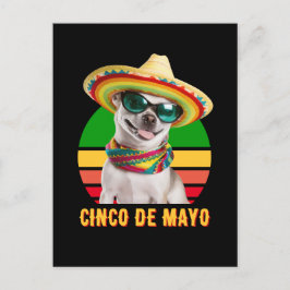 Postal Cinco De Mayo Sombrero Chihuahua Con Gafas De Sol