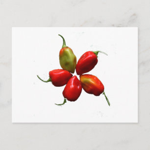 Postal Cinco pimientos calientes de Habanero