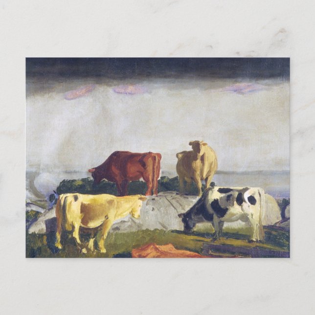 Postal Cinco vacas - Cuadro de George Bellows (Anverso)