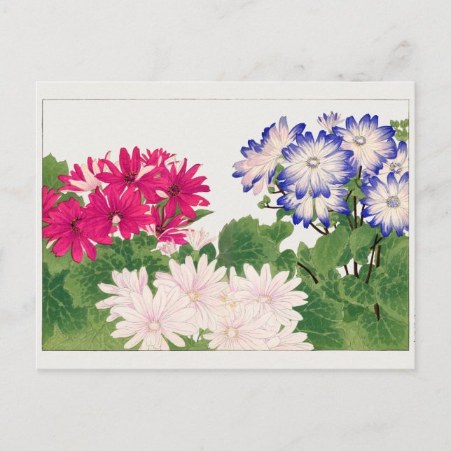 Postal Cineraria de Tanigami Konan (Anverso)