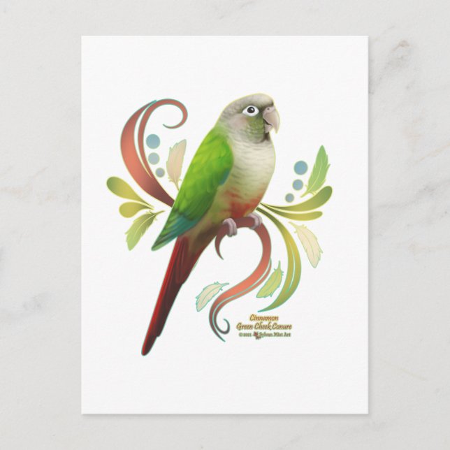 Postal Cinnamon Green Cheek Conure (Anverso)