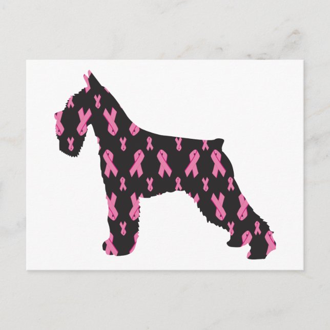 Postal Cinta rosada Schnauzer (Anverso)