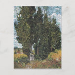 Postal Ciprés de Van Gogh<br><div class="desc">Vincent Van Gogh Landscape Painting Series - Cypress Trees</div>