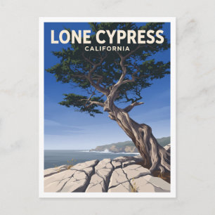 Postal Ciprés Solitario Regalo de Pebble Beach California