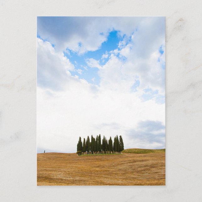 Postal Cipreses toscanos (Anverso)