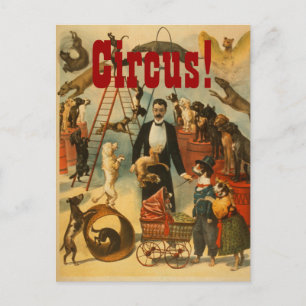Postal Circo canino - Postcard #2
