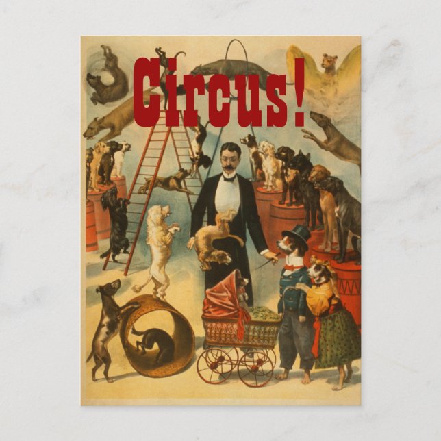 Postal Circo canino - Postcard #2 (Anverso)
