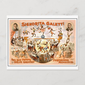 Postal Circo vintage que interpreta monos