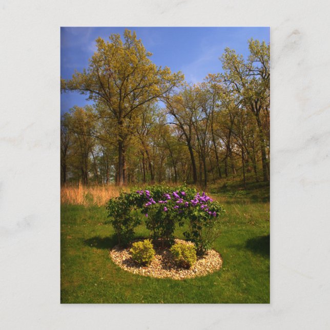 Postal Círculo De Belleza (Anverso)