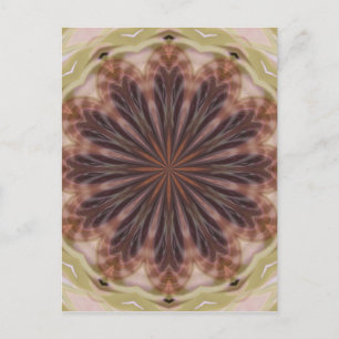 Postal Círculo de plumas