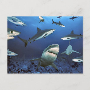 Postal Círculo para matar