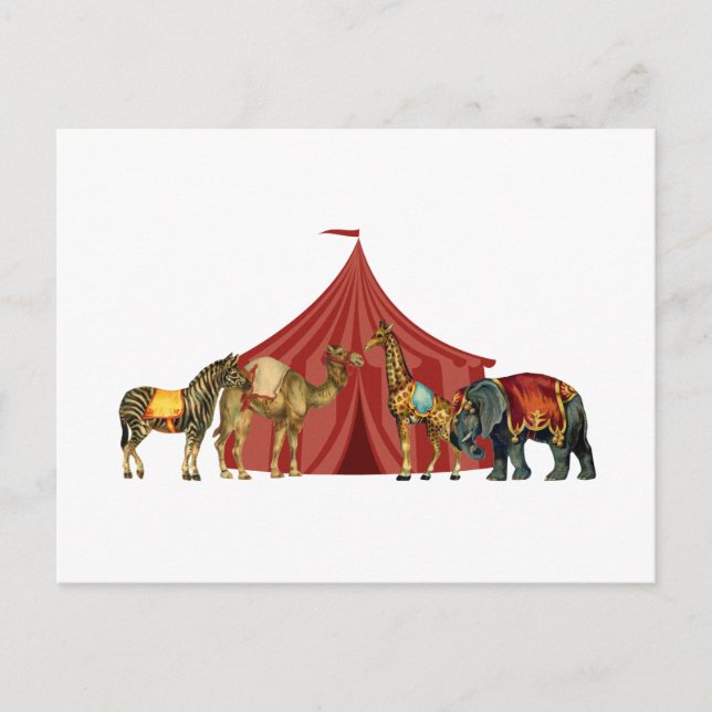 Postal Circus Animals And Tent Postcard (Anverso)