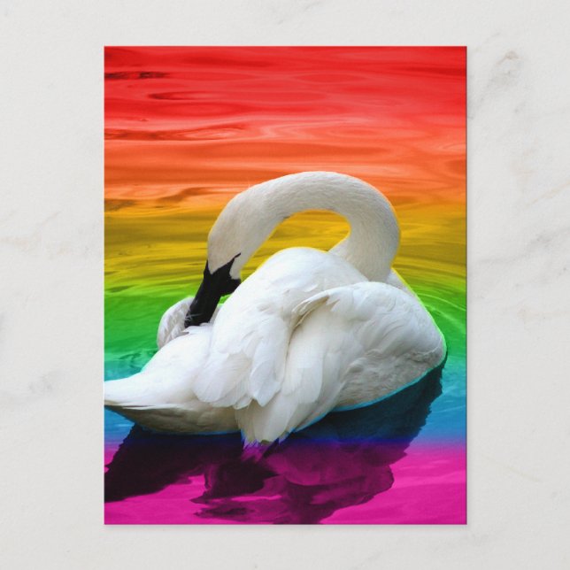 Postal Cisne arcoiris (Anverso)