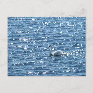 Postal Cisne, Bahía de Cardiff, Cardiff
