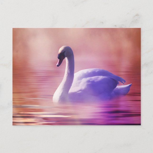 Postal Cisne blanco flotando en un lago polvoriento (Anverso)