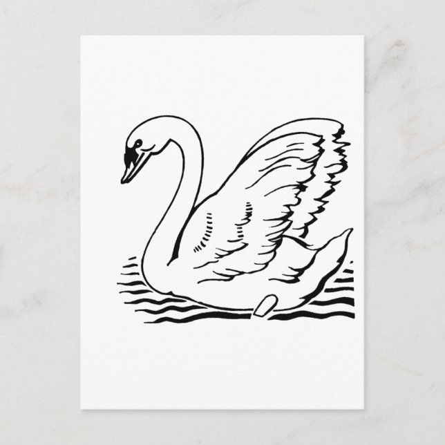 Postal Cisne elegante (Anverso)