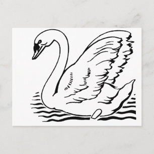 Postal Cisne elegante