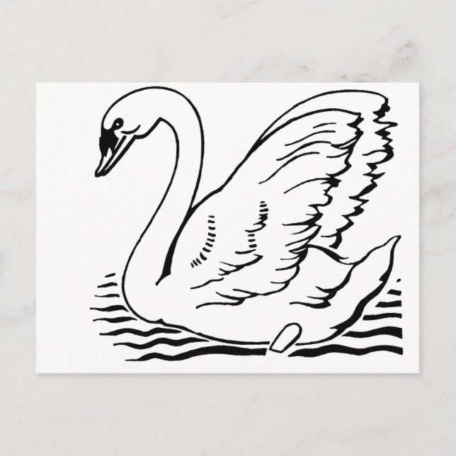 Postal Cisne elegante (Anverso)