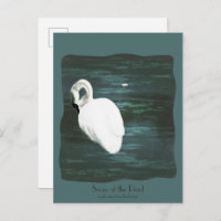 Cisne en el estanque