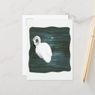 Postal Cisne en el estanque