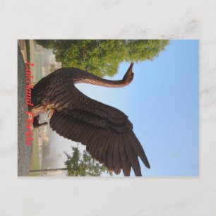 Postal Cisne en Vuelo Lakeland, Florida