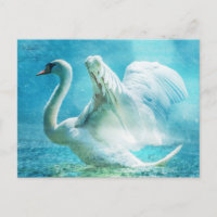 Cisne mágico durante una ducha de verano