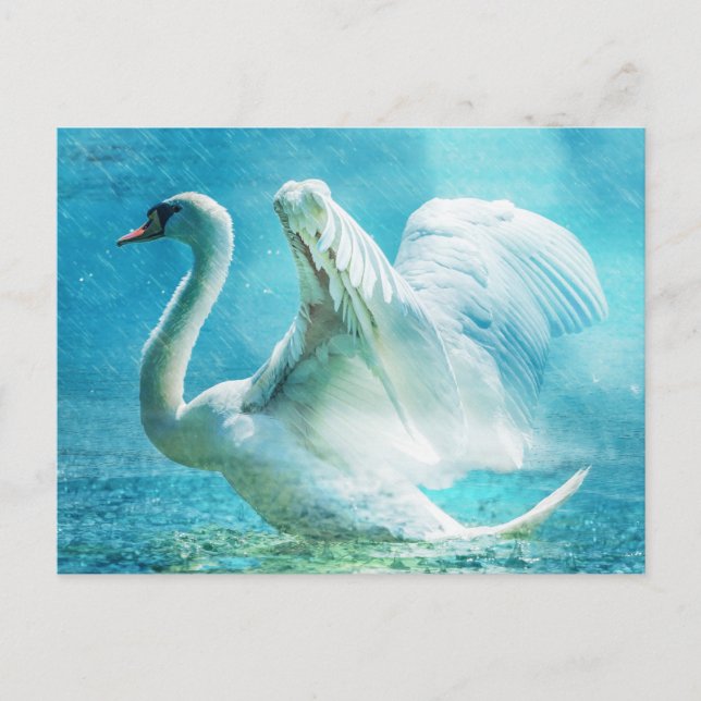 Postal Cisne mágico durante una ducha de verano (Anverso)