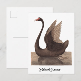 Postal Cisne Negro 1792