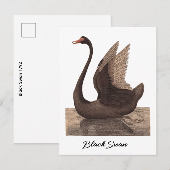 Postal Cisne Negro 1792 (Anverso / Reverso)