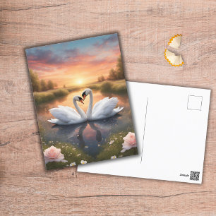 Postal Cisnes bonitos