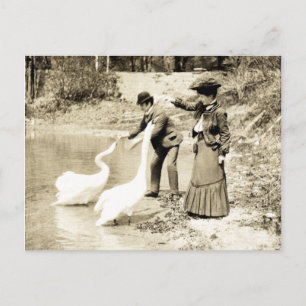 Postal Cisnes del siglo XIX en París