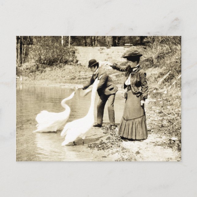 Postal Cisnes del siglo XIX en París (Anverso)