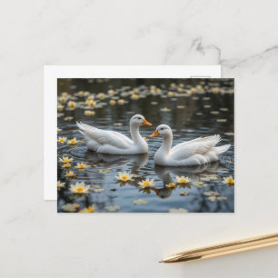 Postal Cisnes elegantes en un estanque iluminado por la l