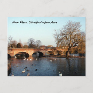 Postal Cisnes en el río Avon, Stratford-upon-Avon
