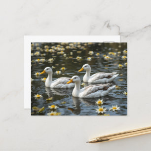 Postal Cisnes en un Reflectivo Amantes de los Pájaros del