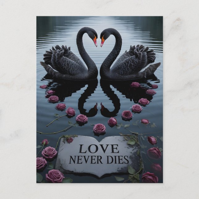Postal Cisnes negros románticos reflejando corazón con te (Anverso)