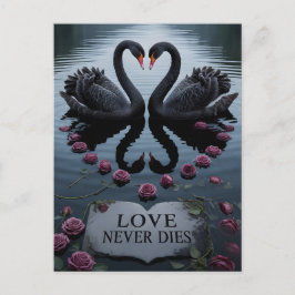 Postal Cisnes negros románticos reflejo del corazón con t