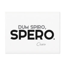 CITA: Cicerón: Dum spiro, spero