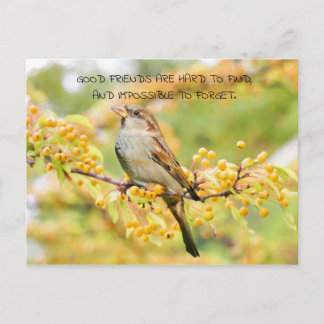 Postal Cita de amistad Flores de pájaro y amarillo