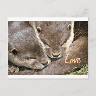 Postal Cita de amor - Otters