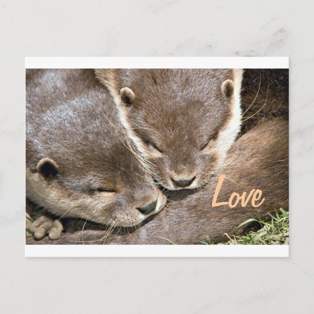 Postal Cita de amor - Otters (Anverso)