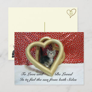 Postal Cita de amor Starring Lilo Cat