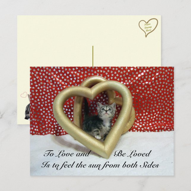Postal Cita de amor Starring Lilo Cat (Anverso / Reverso)