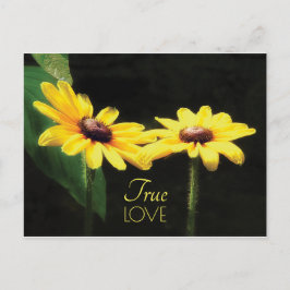 Postal Cita de amor verdadera de Black Eyed Susan