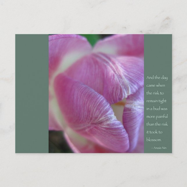 Postal Cita de Anais Nin (Anverso)