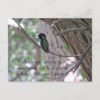 Cita de Contemplación de Meister Eckhart Hummingbi