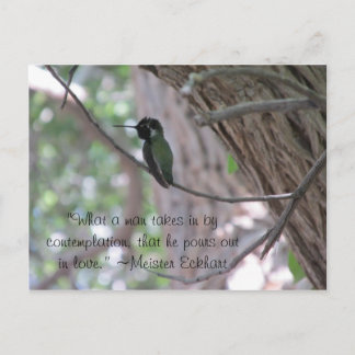 Postal Cita de Contemplación de Meister Eckhart Hummingbi