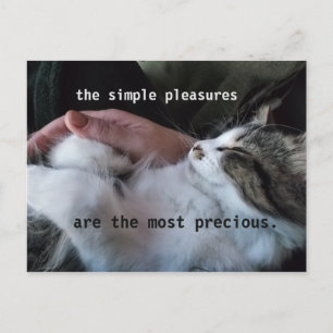Postal Cita de Gatito Adorable Placeres Simples Más Preci